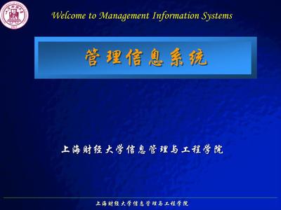第10章信息系統的開發與實施幻燈片.ppt