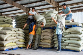 高效搬運(yùn)服務(wù) 人工裝卸、設(shè)備搬運(yùn)與工廠搬遷一體化解決方案